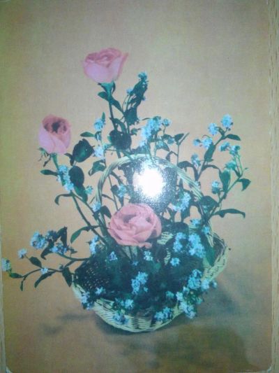 Лот: 11206163. Фото: 1. Открытка советских времён. Незабудки... Открытки, конверты