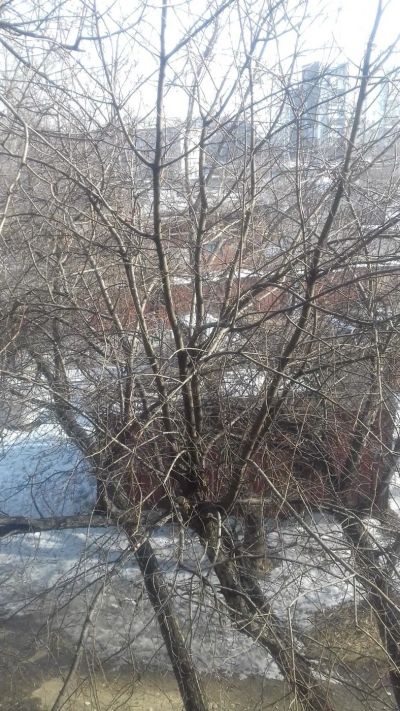 Лот: 11199273. Фото: 1. Земля ИЖС в ж.р. Славянский. Земельные участки