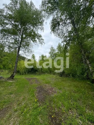 Лот: 25292425. Фото: 1. коммерческая , Красноярск Лесная... Коммерческая недвижимость
