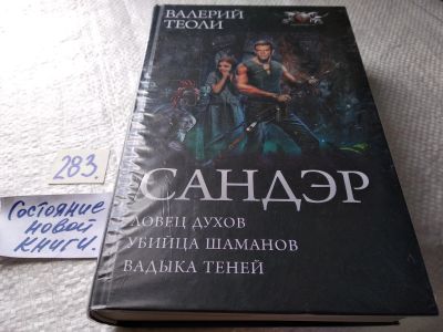 Лот: 17767636. Фото: 1. (18024)Сандэр | Теоли Валерий... Художественная