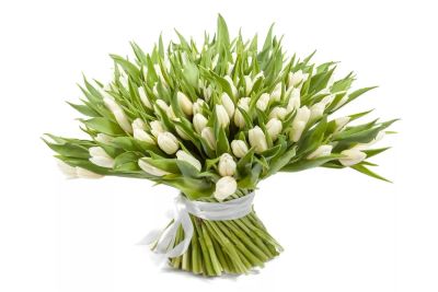 Лот: 9185534. Фото: 1. Белые тюльпаны болшой букет с... Подарки на 8 марта