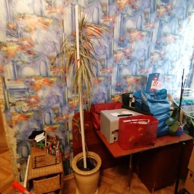 Лот: 20616993. Фото: 1. Драцена торги сутки срочно переезд. Горшечные растения и комнатные цветы