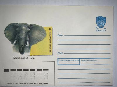 Лот: 19373324. Фото: 1. Конверт СССР Африканский слон... Открытки, конверты
