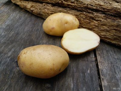 Лот: 13789867. Фото: 1. Картофель семенной. Овощи