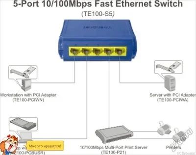 Лот: 5918930. Фото: 1. Router TrendNet TE100-S5/RU 5-портовый... Коммутаторы