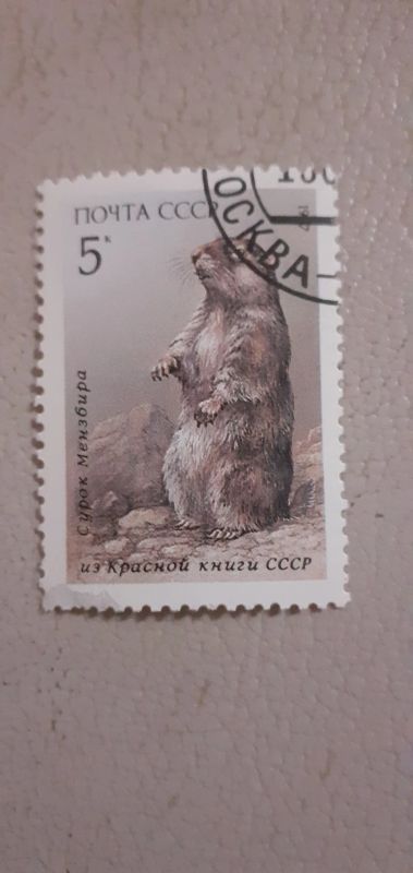 Лот: 21394242. Фото: 1. Марка 88. Марки