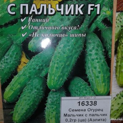 Лот: 9122655. Фото: 1. Семена / овощи / Огурец / Мальчик... Овощи