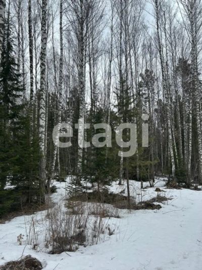Лот: 25285313. Фото: 1. участок , деревня Шумиха деревня... Земельные участки