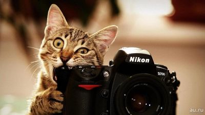 Лот: 8648091. Фото: 1. фотоаппарат Nikon Color Pix 4200. Цифровые компактные
