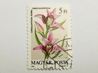 Лот: 23316453. Фото: 1. Цветы. Орхидеи. 5 форинтов. Флора... Марки