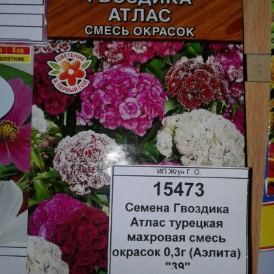 Лот: 9118446. Фото: 1. Семена / цветы / Гвоздика Атлас... Садовые цветы