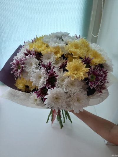 Лот: 14566693. Фото: 1. Букет из 17кустовых хризантем... Свежие цветы