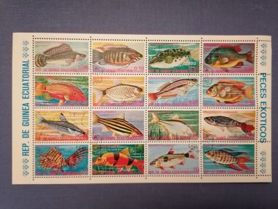 Лот: 25748035. Фото: 1. Экваториальная Гвинея 1974 г... Марки
