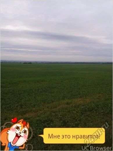 Лот: 5722056. Фото: 1. земля (пай) 13.8га (торг до слез... Земельные участки