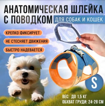 Лот: 23598167. Фото: 1. Шлейка с поводком. Ошейники, одежда, конное снаряжение