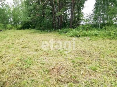 Лот: 25298346. Фото: 1. участок , садоводческое некоммерческое... Земельные участки