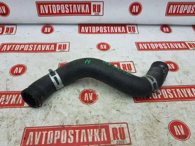 Лот: 20900877. Фото: 1. Шланг радиатора Toyota Prius ZVW30... Двигатель и элементы двигателя