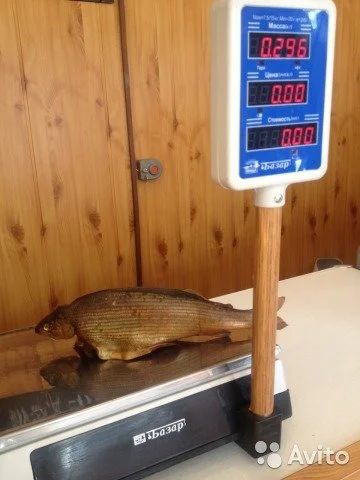 Лот: 7182795. Фото: 1. Хариус копченый. Икра, рыба, морепродукты