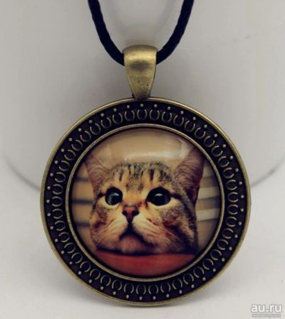 Лот: 8876370. Фото: 1. Кулон на шнурке "Мой котик". Колье