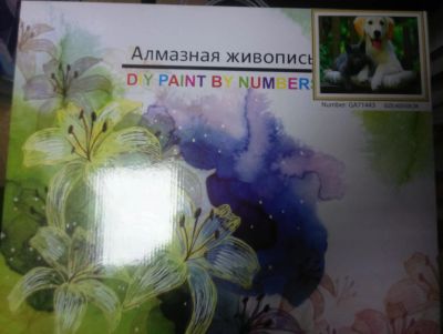 Лот: 11133394. Фото: 1. Алмазная живопись модная творческая... Развивающие