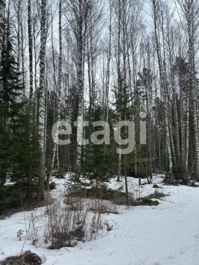 Лот: 25285314. Фото: 1. участок , деревня Шумиха деревня... Земельные участки