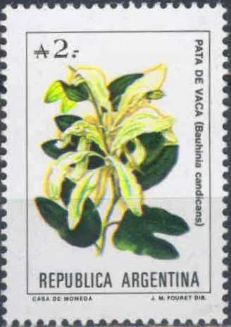 Лот: 23458021. Фото: 1. 1988. Аргентина. Цветы Аргентины... Марки