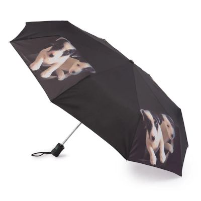 Лот: 24942825. Фото: 1. Зонт женский автомат Fulton JackRussell. Зонты