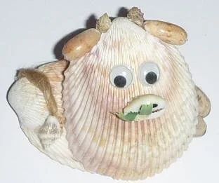 Лот: 537058. Фото: 1. Бычок из магнума. Ракушки, раковины... Другое (сувениры, подарки)