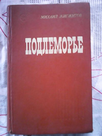 Лот: 13463632. Фото: 1. Михаил Жигжитов. Подлеморье. Художественная