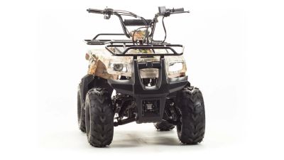 Лот: 24066335. Фото: 1. Квадроцикл ATV 110 RIDER. Снегоходы, квадроциклы