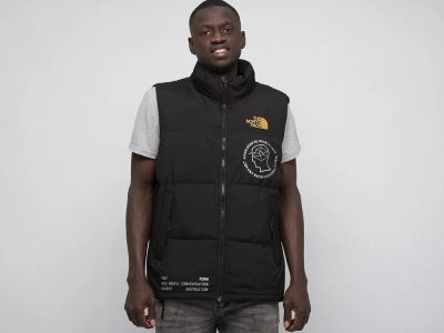 Лот: 18814006. Фото: 1. Жилет The North Face. Верхняя одежда