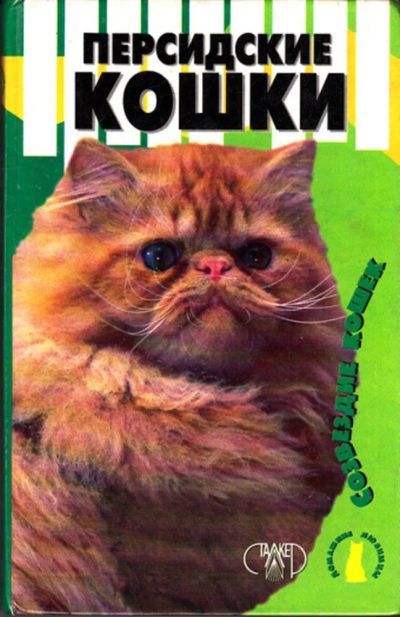 Лот: 23443446. Фото: 1. Персидские кошки. Домашние животные