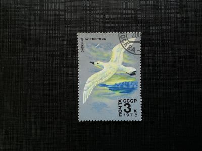 Лот: 14543550. Фото: 1. марка СССР бк 35. Марки
