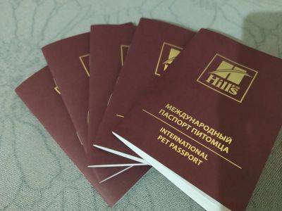 Лот: 18222525. Фото: 1. Ветеринарный паспорт. Другое (растения и животные)