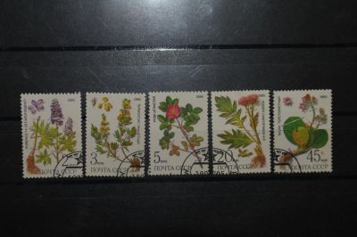 Лот: 4402424. Фото: 1. 1985 Лекарственные растения Сибири... Марки