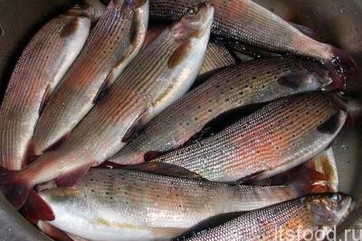 Лот: 12117542. Фото: 1. Хариус ангарский. Икра, рыба, морепродукты