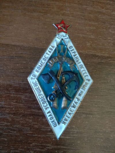 Лот: 23908359. Фото: 1. знак ранних советов 1 выпуск Школа... Сувенирные