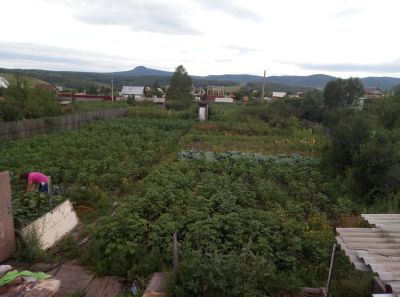 Лот: 10340694. Фото: 1. Участок (СНТ). Земельные участки