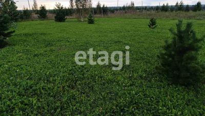 Лот: 25288634. Фото: 1. участок , садоводческое некоммерческое... Земельные участки