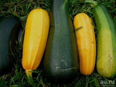 Лот: 8080911. Фото: 1. кабачки. Овощи, фрукты, зелень