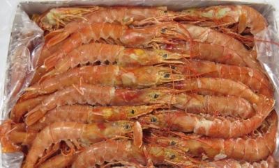 Лот: 6668542. Фото: 1. Креветки аргентинские огромные... Икра, рыба, морепродукты