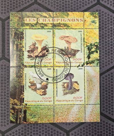 Лот: 24698143. Фото: 1. Марки: Конго. 2009. Грибы (ПБ... Марки