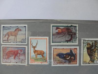 Лот: 4425459. Фото: 1. 1959, 1961 год, Охраняйте полезных... Марки