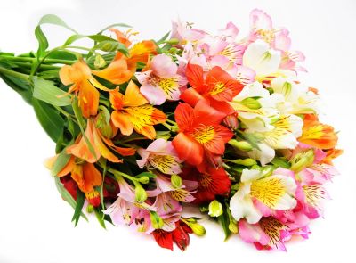 Лот: 7070466. Фото: 1. Сборный букет. Цветы на Щорса... Свежие цветы