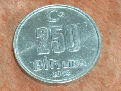 Лот: 12043956. Фото: 1. Монета 250 тысяч лир Турция 2004... Ближний восток