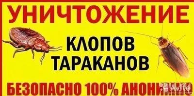 Лот: 9779892. Фото: 1. Дезинсекция. Дератизация. Уничтожение... Другие (бытовые услуги)