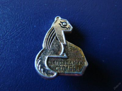 Лот: 5709437. Фото: 1. Значок Заповедник Столбы. Сувенирные