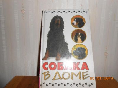 Лот: 5194470. Фото: 1. Собака в доме. Другое (наука и техника)