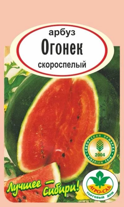 Лот: 10985889. Фото: 1. Семена арбуза "Огонёк" - скороспелый... Ягоды