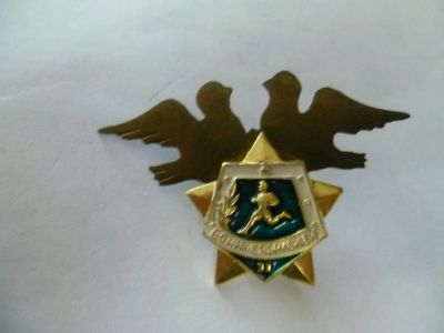 Лот: 7440910. Фото: 1. воин спортсмен 2 дембельский. Другое (значки, медали, жетоны)
